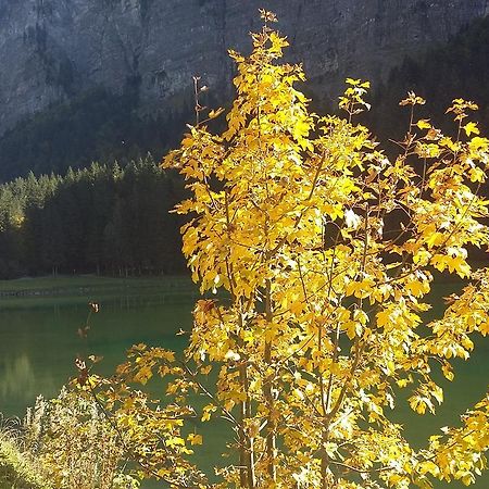 Logis Hotel Les Sapins Montriond Ngoại thất bức ảnh