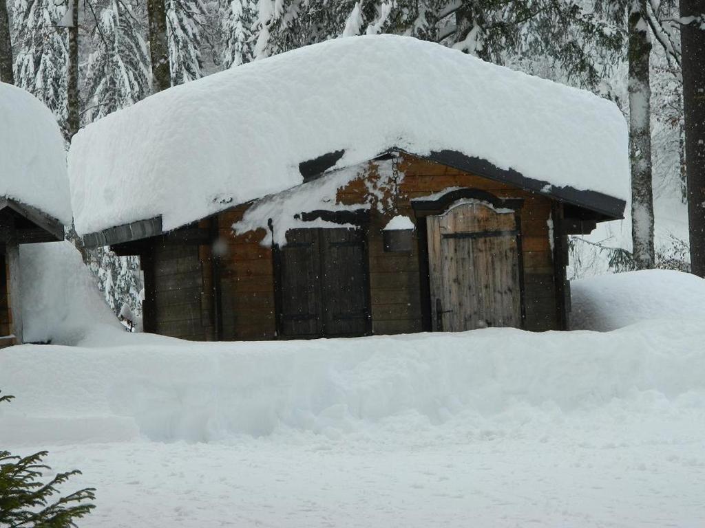 Logis Hotel Les Sapins Montriond Ngoại thất bức ảnh