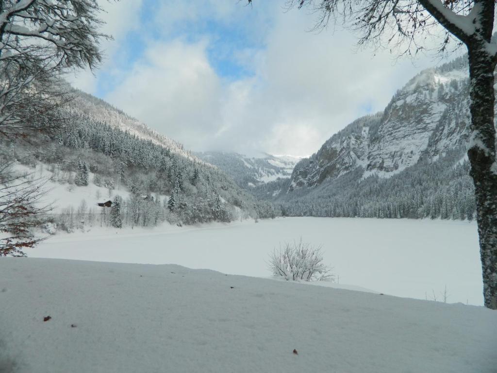 Logis Hotel Les Sapins Montriond Ngoại thất bức ảnh