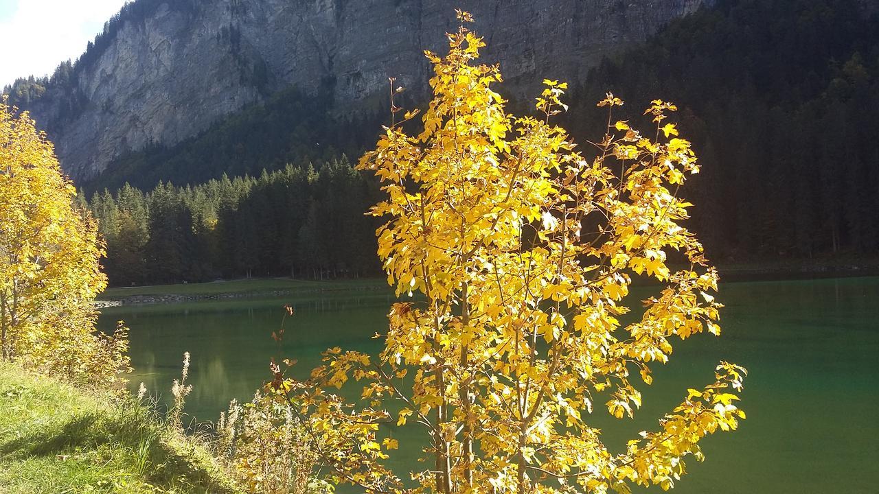 Logis Hotel Les Sapins Montriond Ngoại thất bức ảnh